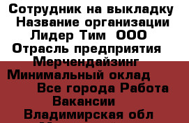 Сотрудник на выкладку › Название организации ­ Лидер Тим, ООО › Отрасль предприятия ­ Мерчендайзинг › Минимальный оклад ­ 18 000 - Все города Работа » Вакансии   . Владимирская обл.,Муромский р-н